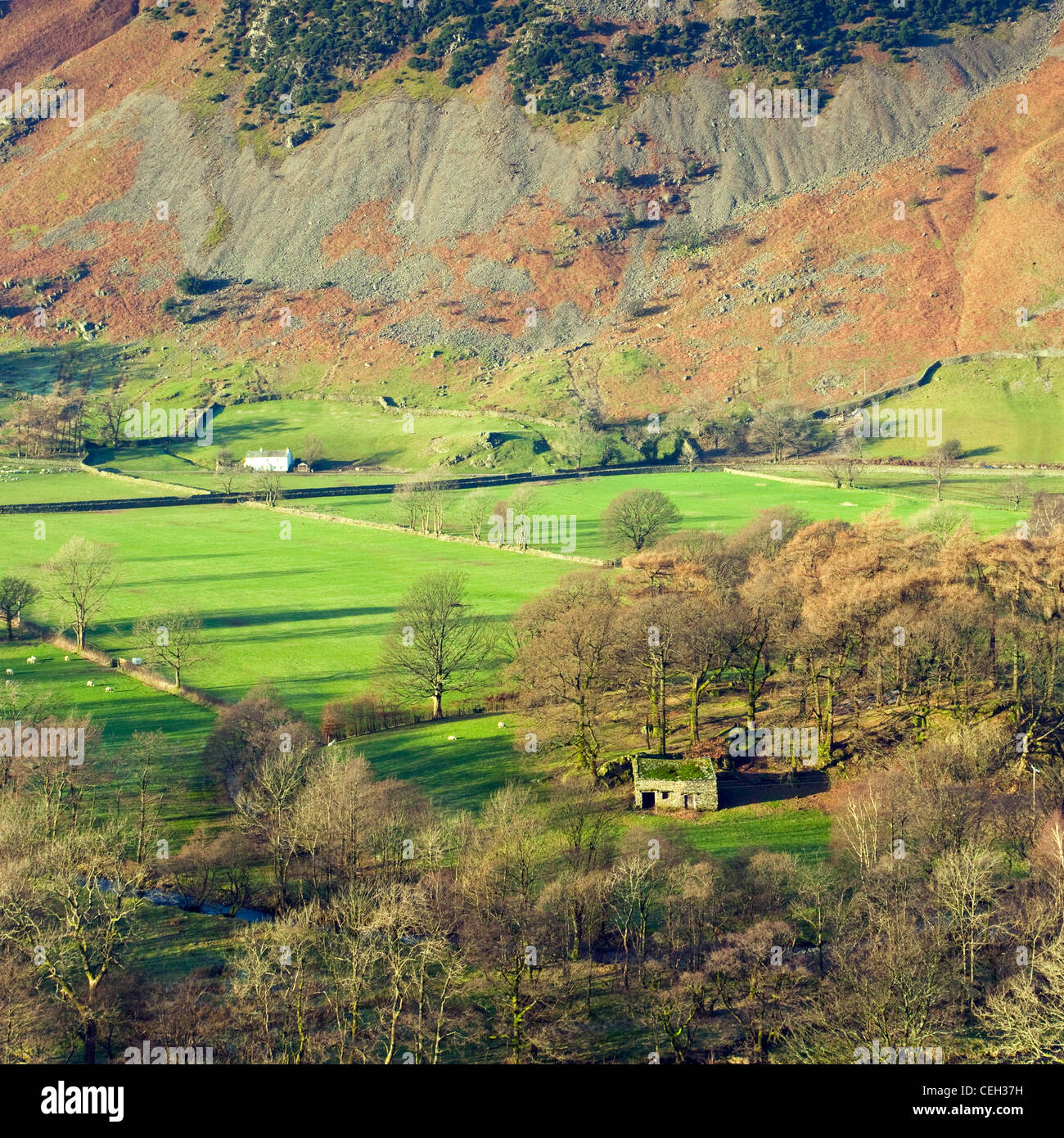 Patterdale Valley floor, looking down from Angle Tarn Fell, January, Patterdale area, Lake District National Park, Stock Photo