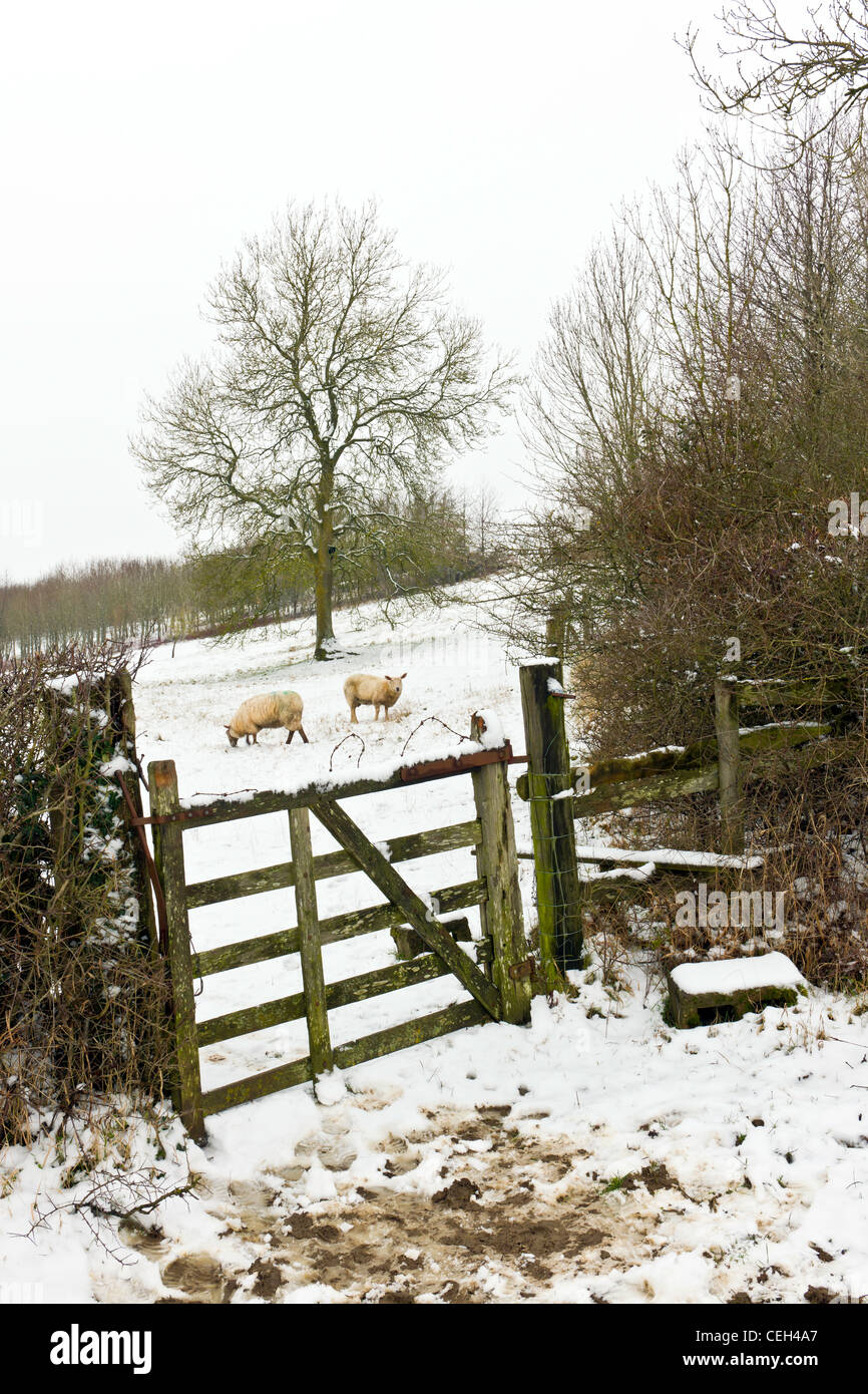 Wiltshire Winter Landscape Stock Photo - Alamy