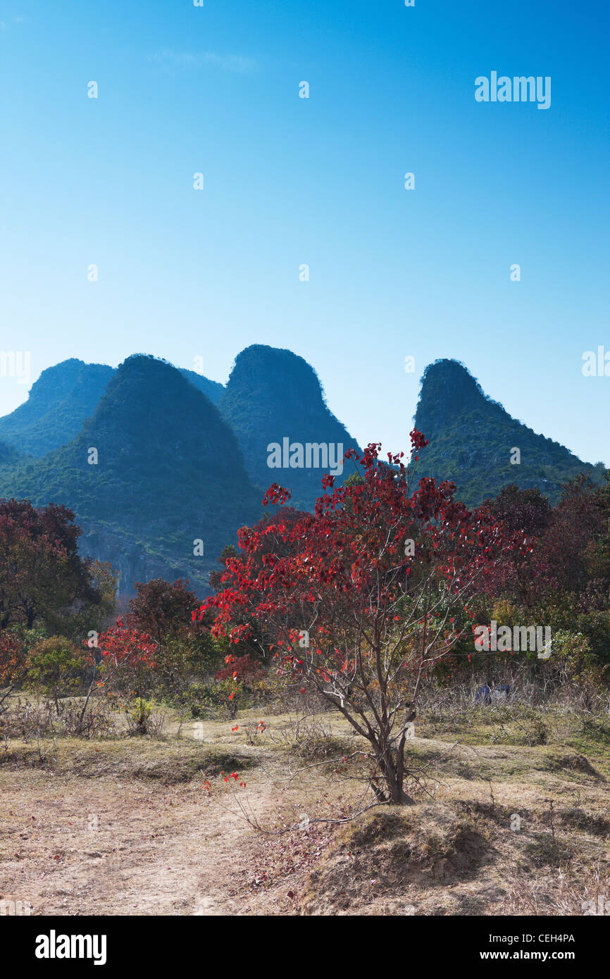 China  Guilin  Physical Geography  Guangxi Region  Beauty In Nature  maple leaf travel  scenics Stock Photo