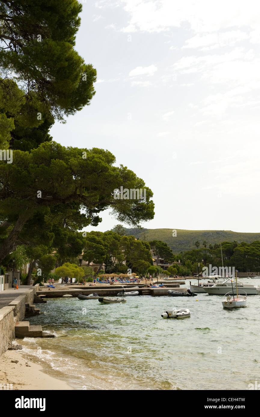 Pine Walk, Puerto Pollensa, Mallorca Stock Photo Alamy