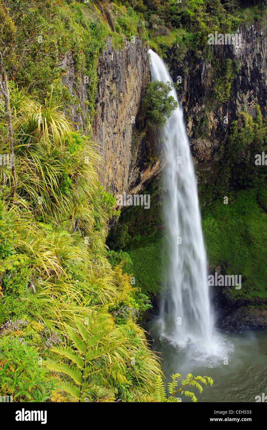 Bridal Veil Falls near Raglan, Waikato in New Zealand Stock Photo Alamy
