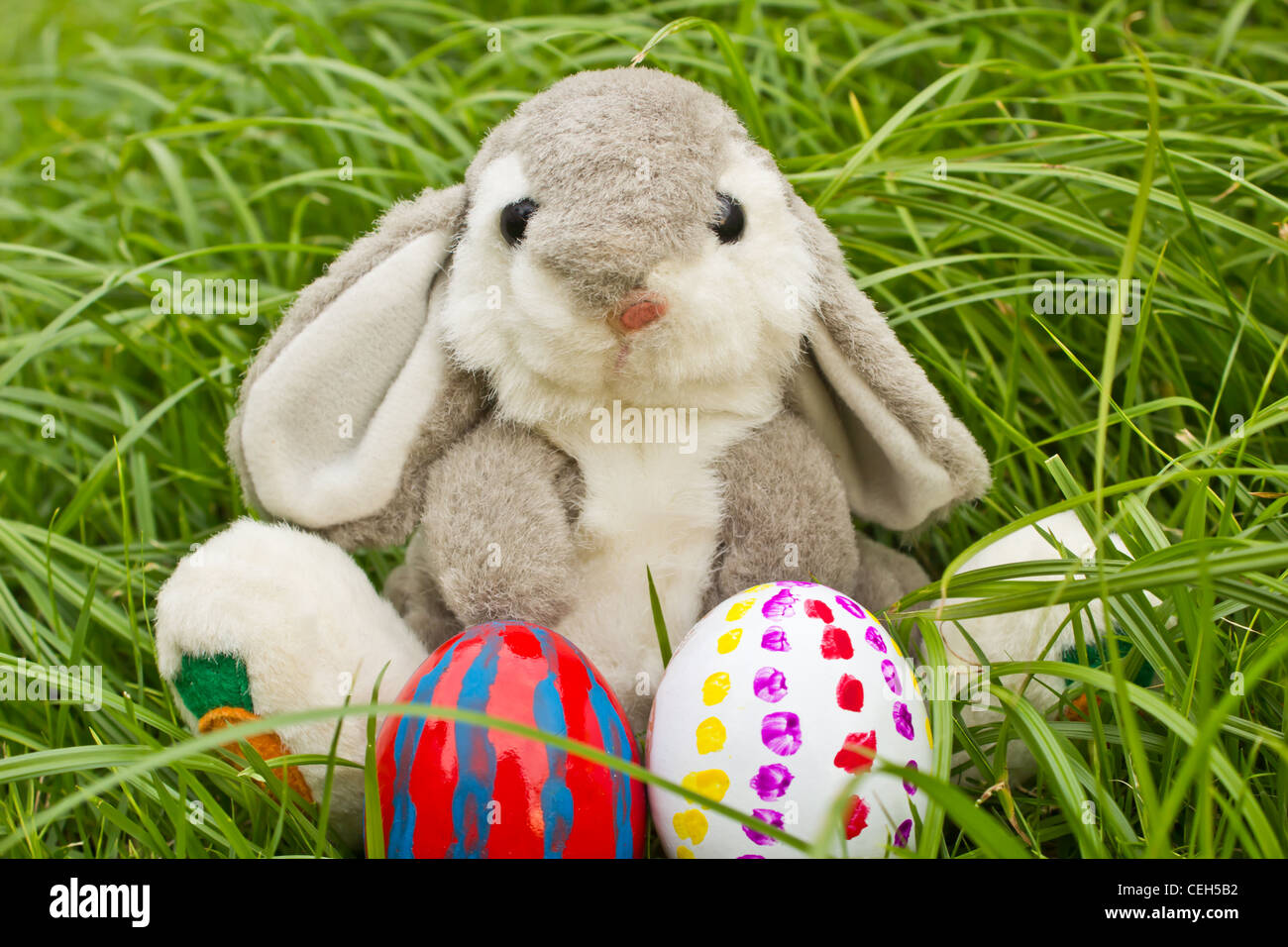 Easter bunny Stock Photo