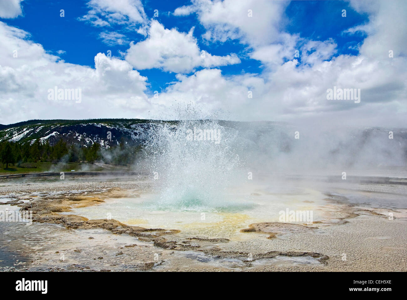 Geyser eruption in Yellowstone National Park Stock Photo Alamy