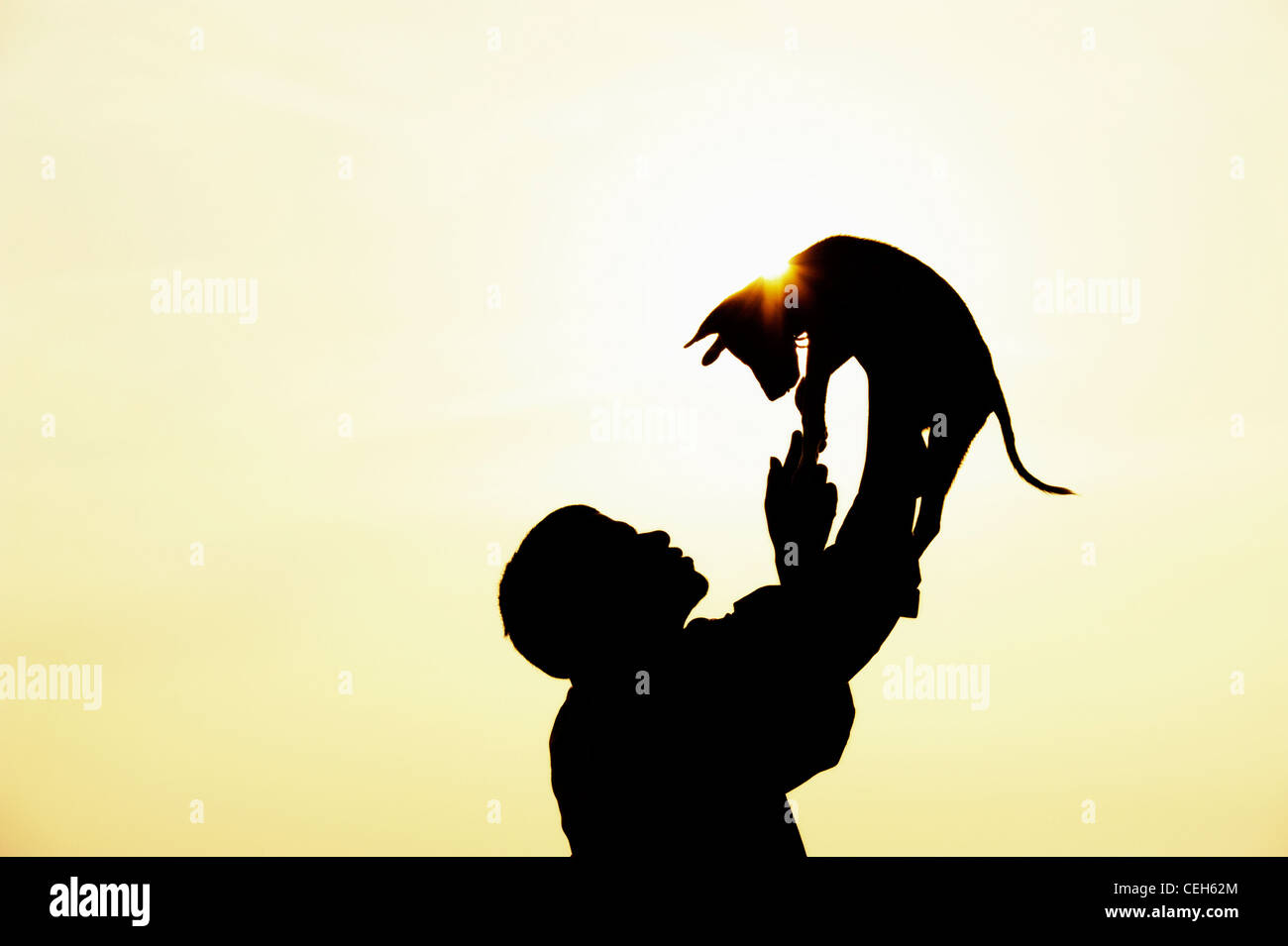 Silhouette of Indian man playing with his puppy Stock Photo