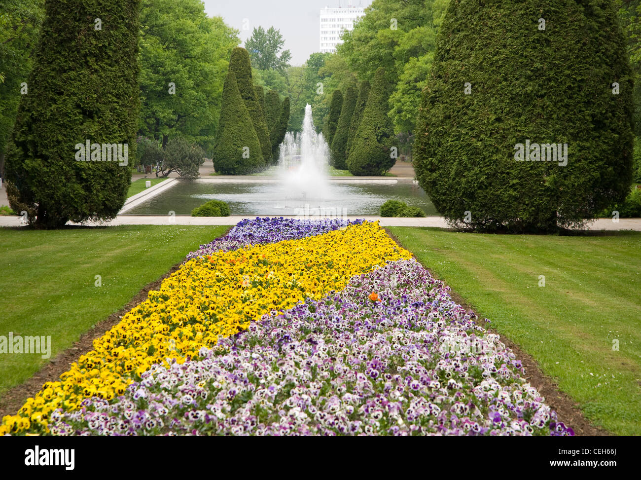 pansies blooming in park and fountain in Thujas Stock Photo