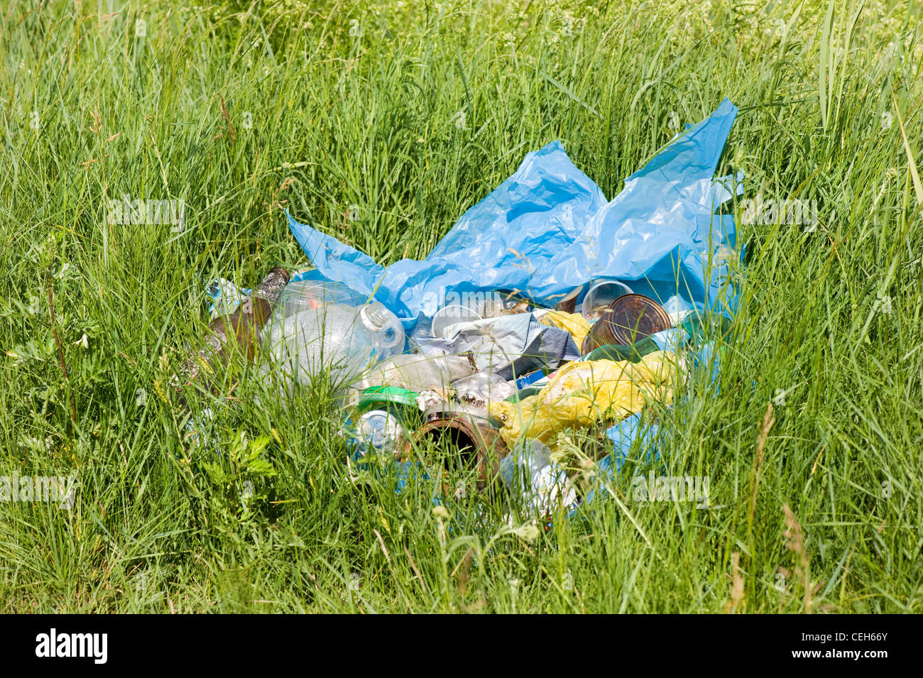 Illegal scatter garbage in blue plastic bag dump Stock Photo