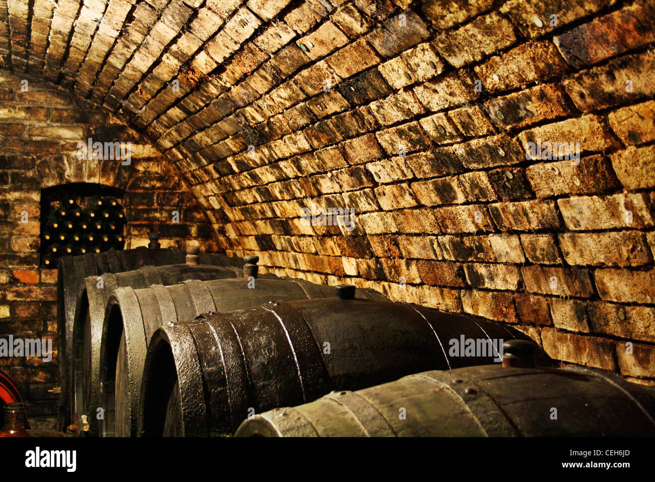 Old Wine Cellar - Classic Wine Cellar in Family Winery with Barrels ...