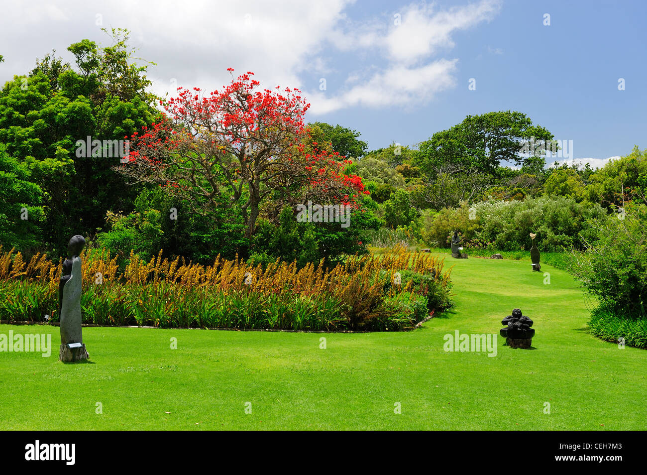 Sculpture garden in Kirstenbosch Botanical Gardens, Cape Town, Western Cape, South Africa Stock