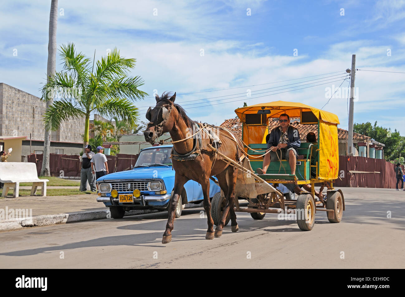Isla de Pinos, Coach horse with cart, Cuba, Caribbean Stock Photo