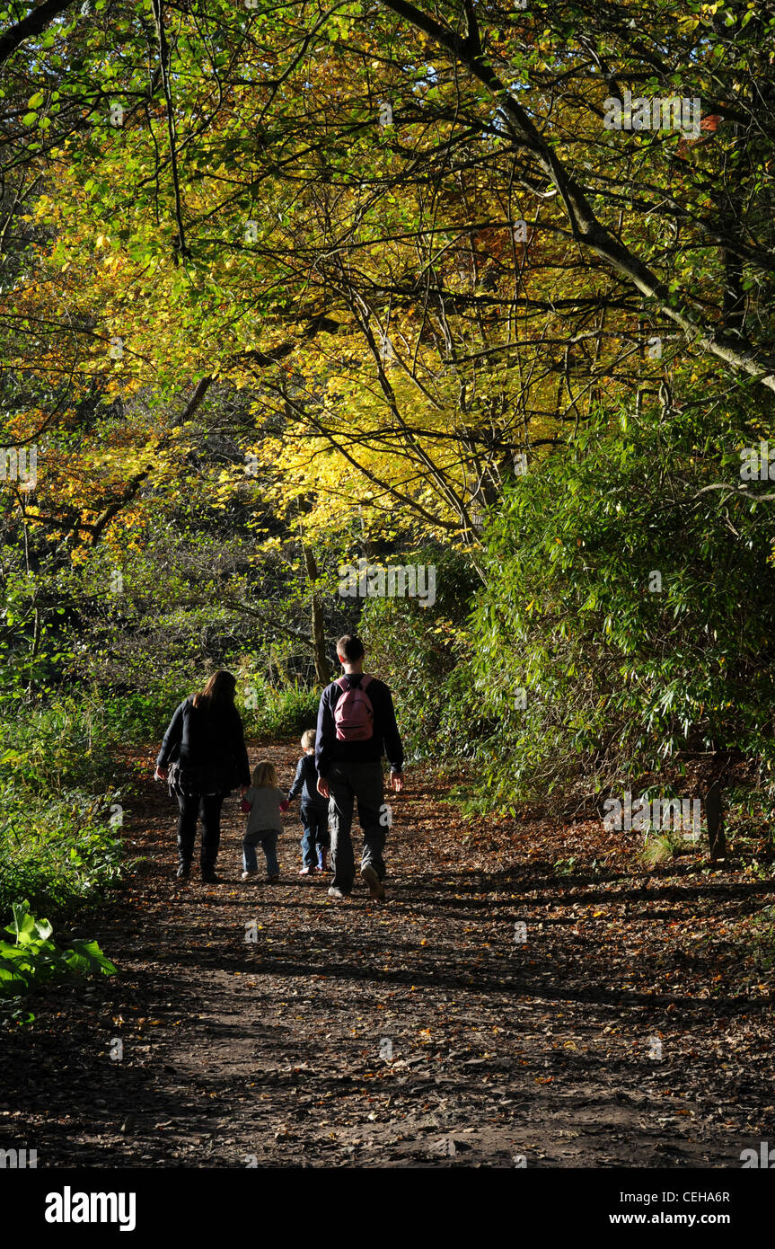 Family walking along a woodland path in Autumn. Sussex, UK Stock Photo ...