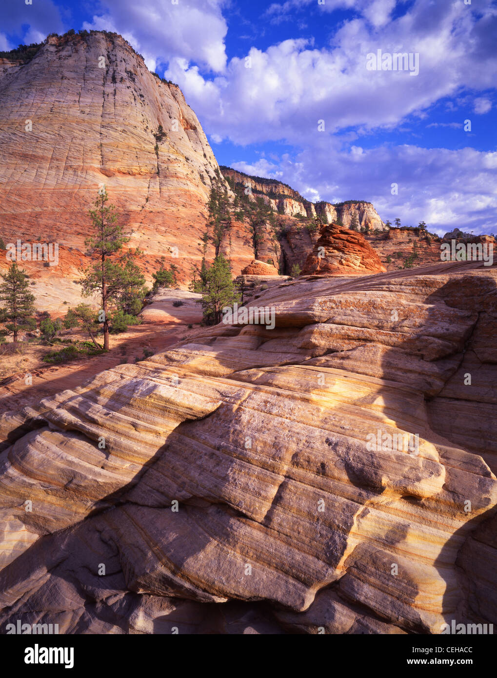 View of canyon walls at sunset along park road in East Canyon near East Entrance of Zion National Park in Utah, USA Stock Photo