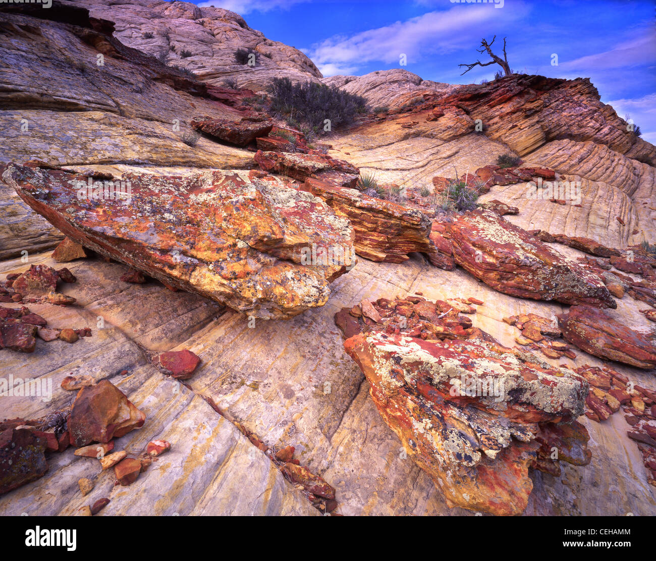 Colorful lichen covered rocks adorn the side of a butte along Boulder-Notom Road near the town of Bolder, Utah. Stock Photo