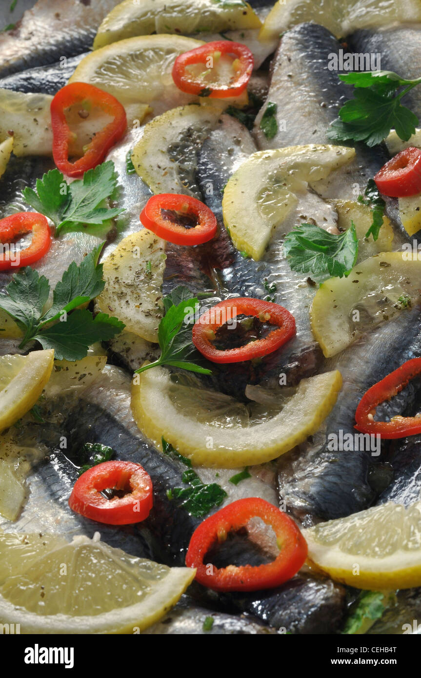 Mediterranean style marinated sardine fish Stock Photo Alamy