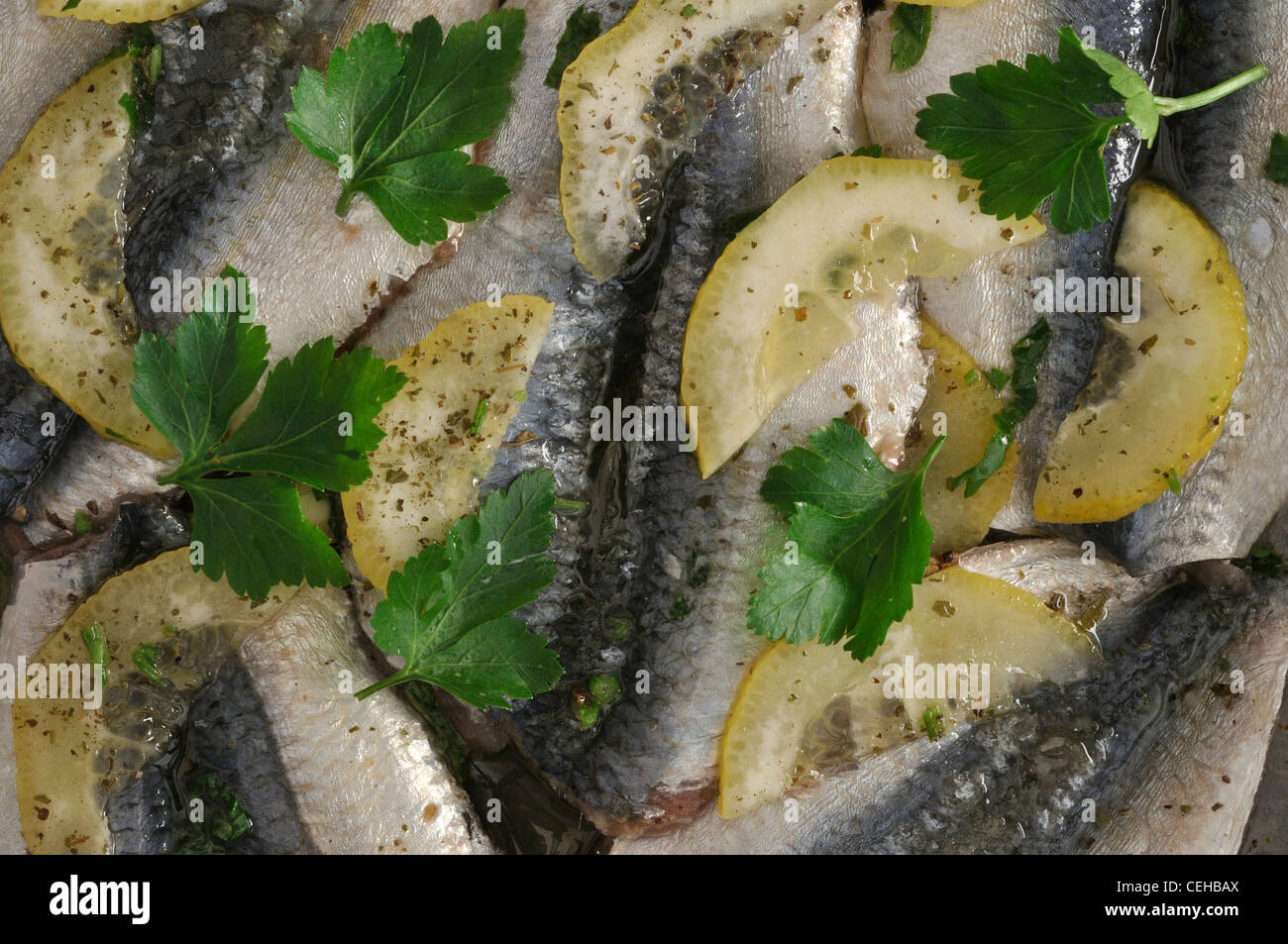 Mediterranean style marinated sardine fish Stock Photo Alamy