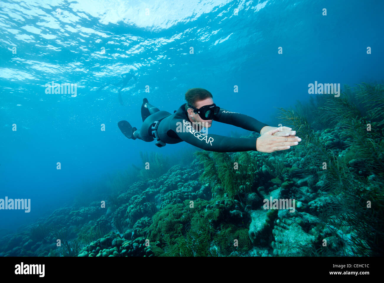 Freediver glides through the water hires stock photography and images