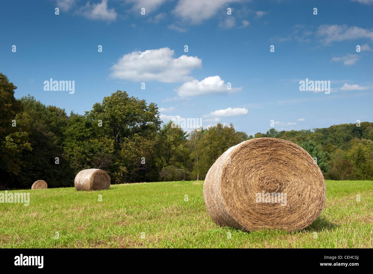 Round bales of hay in meadow, Pennsylvania, USA Stock Photo Alamy