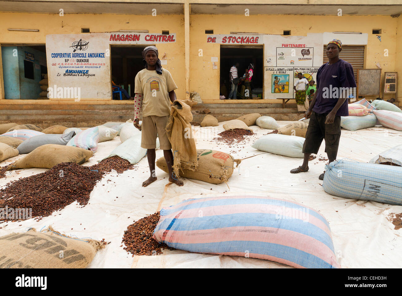 Cacao in the street Duékoué republic of Côte d'Ivoire Ivory Coast Stock Photo