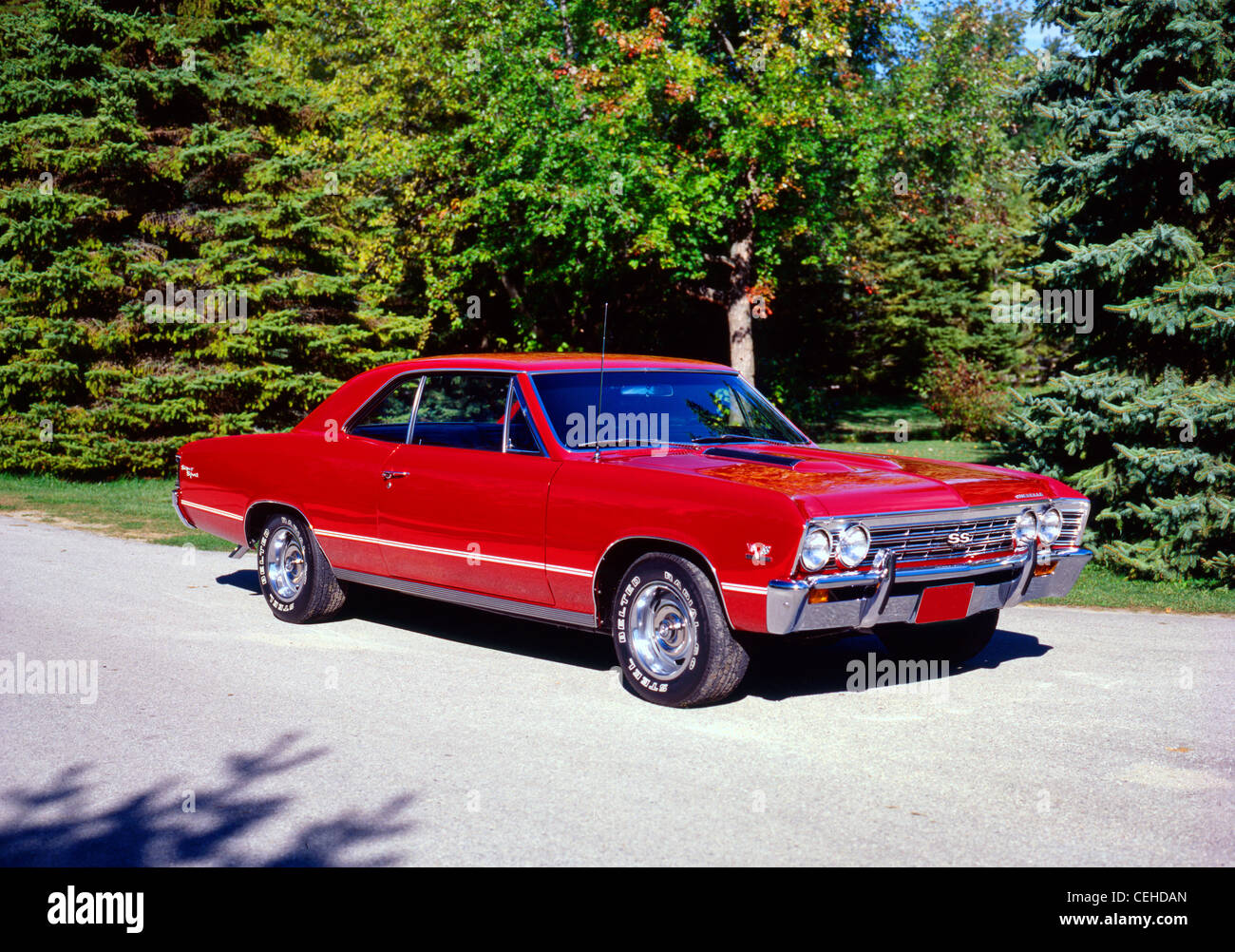 1967 Chevrolet Chevelle Super Stock Photo