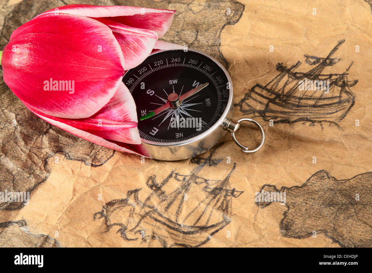 Compass in tulip on a old marine map with image of sailers Stock Photo