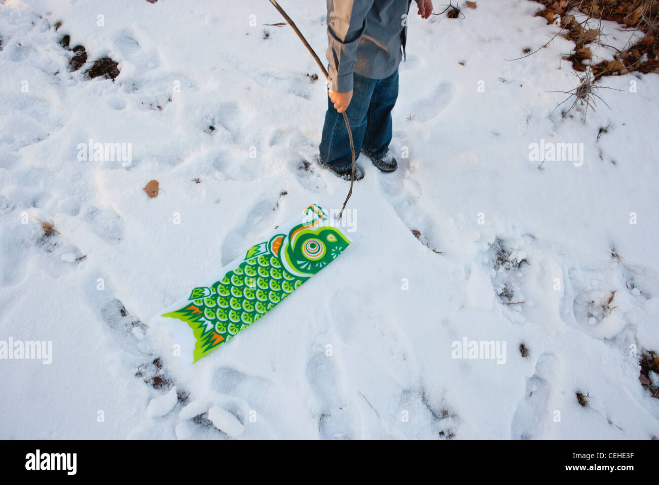 Boy holds a koi fish in the snow, Japanese symbol of Childrens Day, Boys Day. Stock Photo