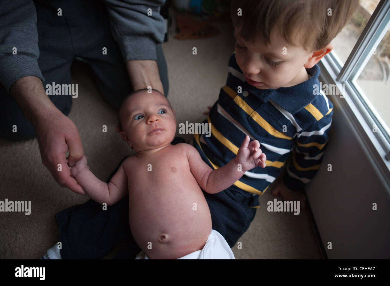 Father trying to get his two year old son to hold his new baby sister, but the brother does not want the baby in his lap. Stock Photo