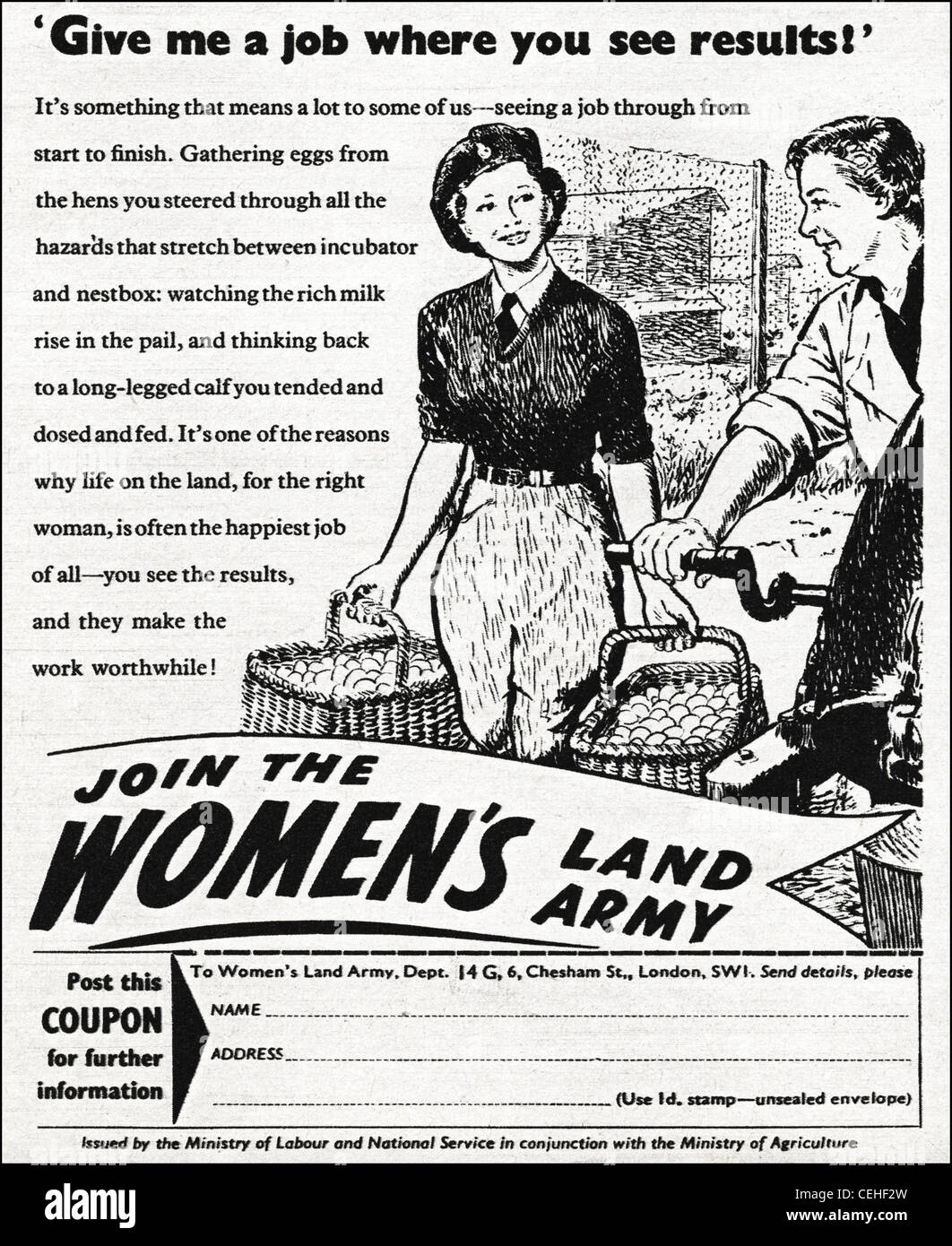 Original government advertisement in 1940s era magazine advertising WOMEN'S LAND ARMY Stock Photo