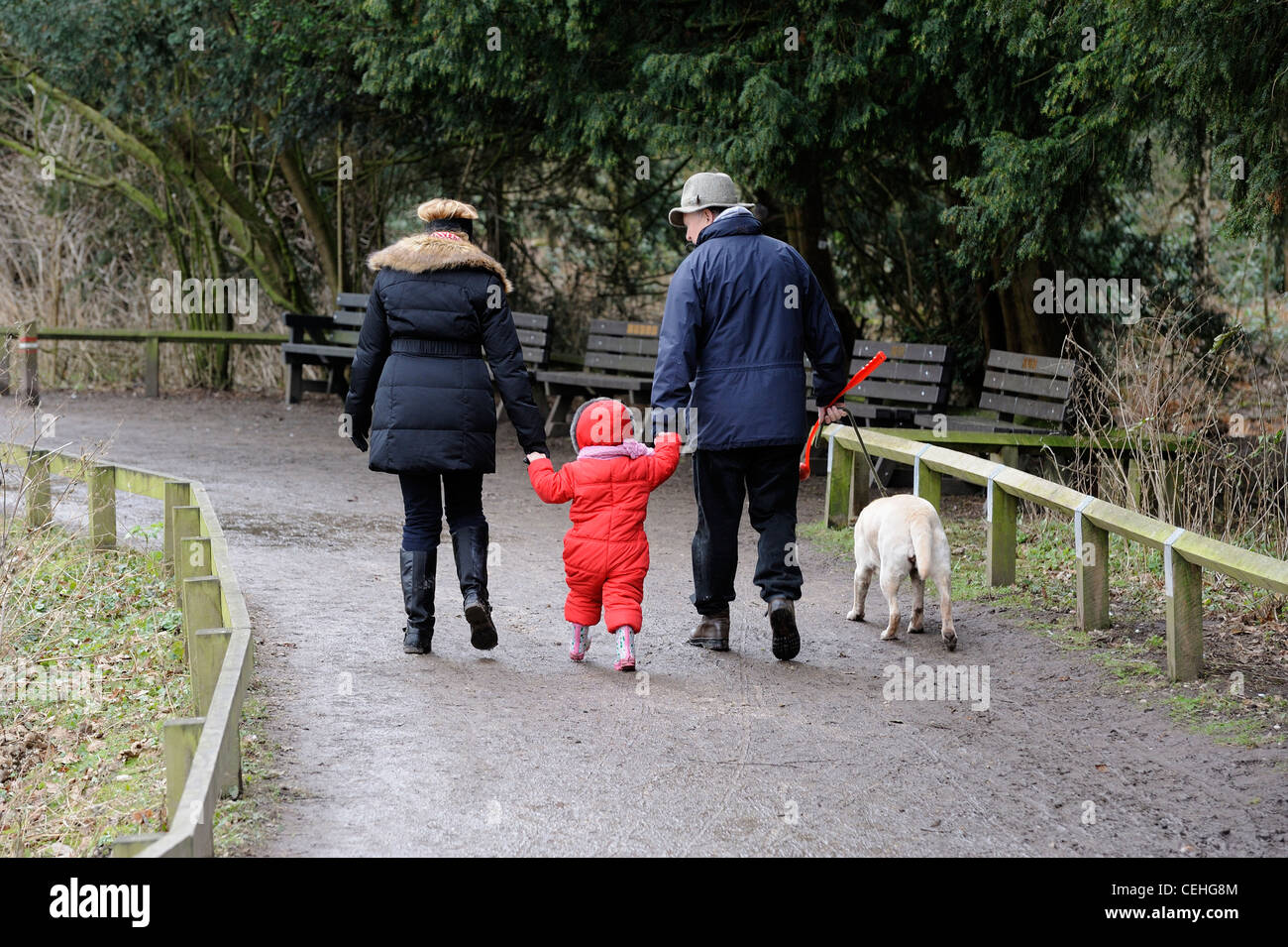 a family walking through rufford country park nottinghamshire england uk Stock Photo