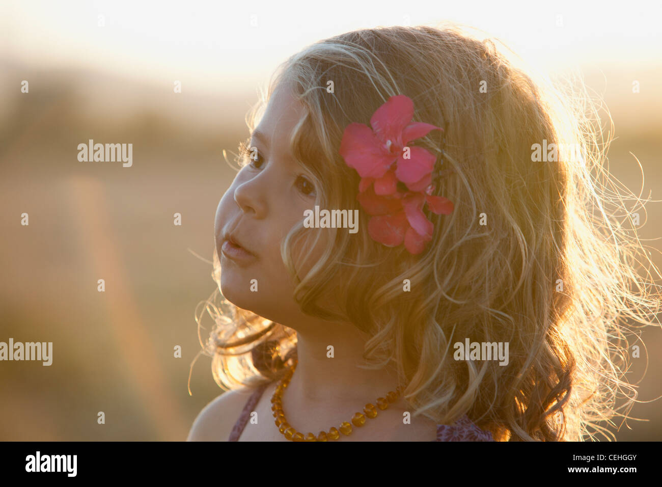 portrait of a beautiful girl with a flower in her hair Stock Photo - Alamy
