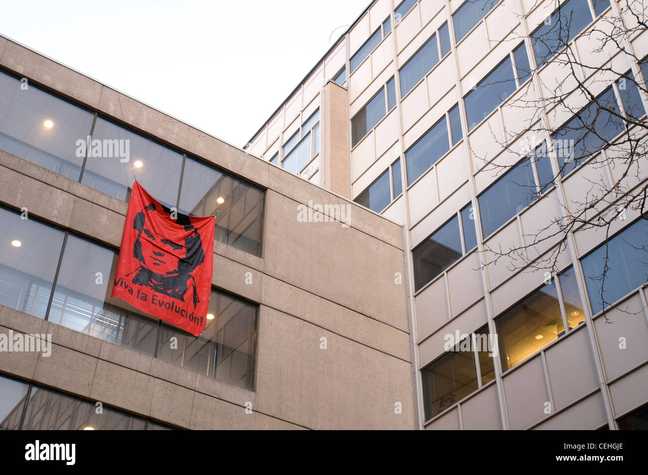 To celebrate Darwin's 200th birthday, MIT hackers put a large red ...