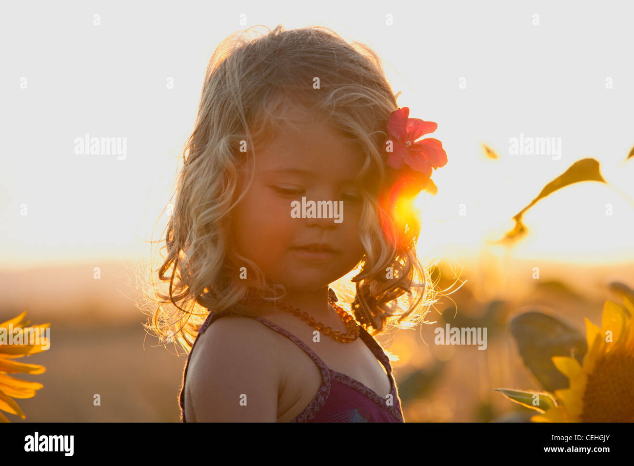 portrait of a beautiful girl with a flower in her hair Stock Photo - Alamy