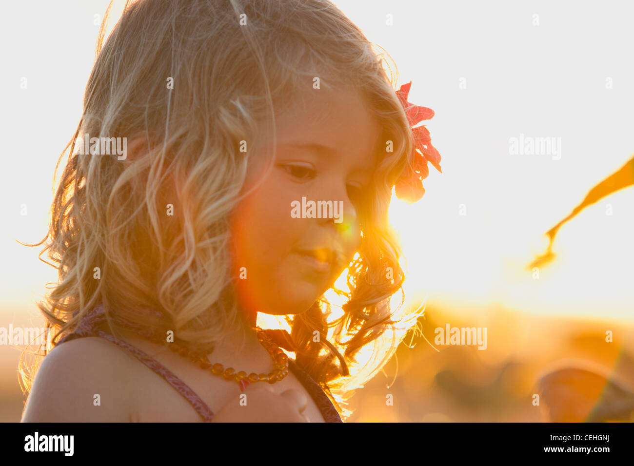 portrait of a beautiful girl with a flower in her hair Stock Photo - Alamy