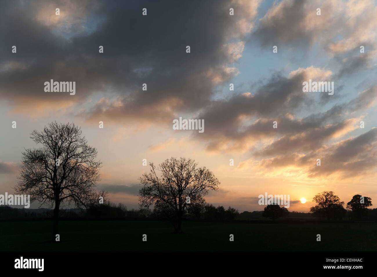Tree silhouette and sunset Grendon near Polesworth/Atherstone Warwickshire. Stock Photo