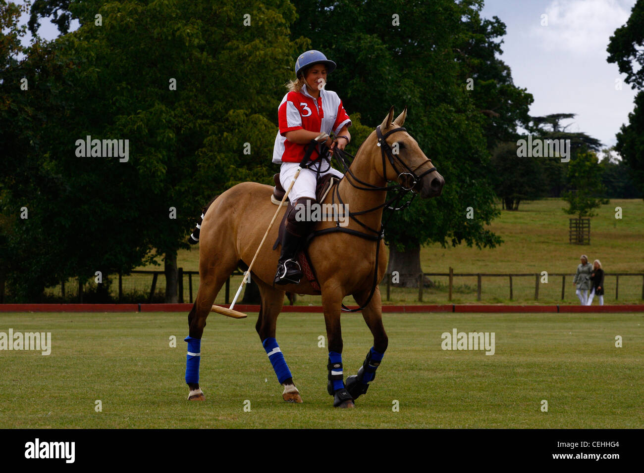 Polo Horse And Rider Oxfordshire Stock Photo - Alamy