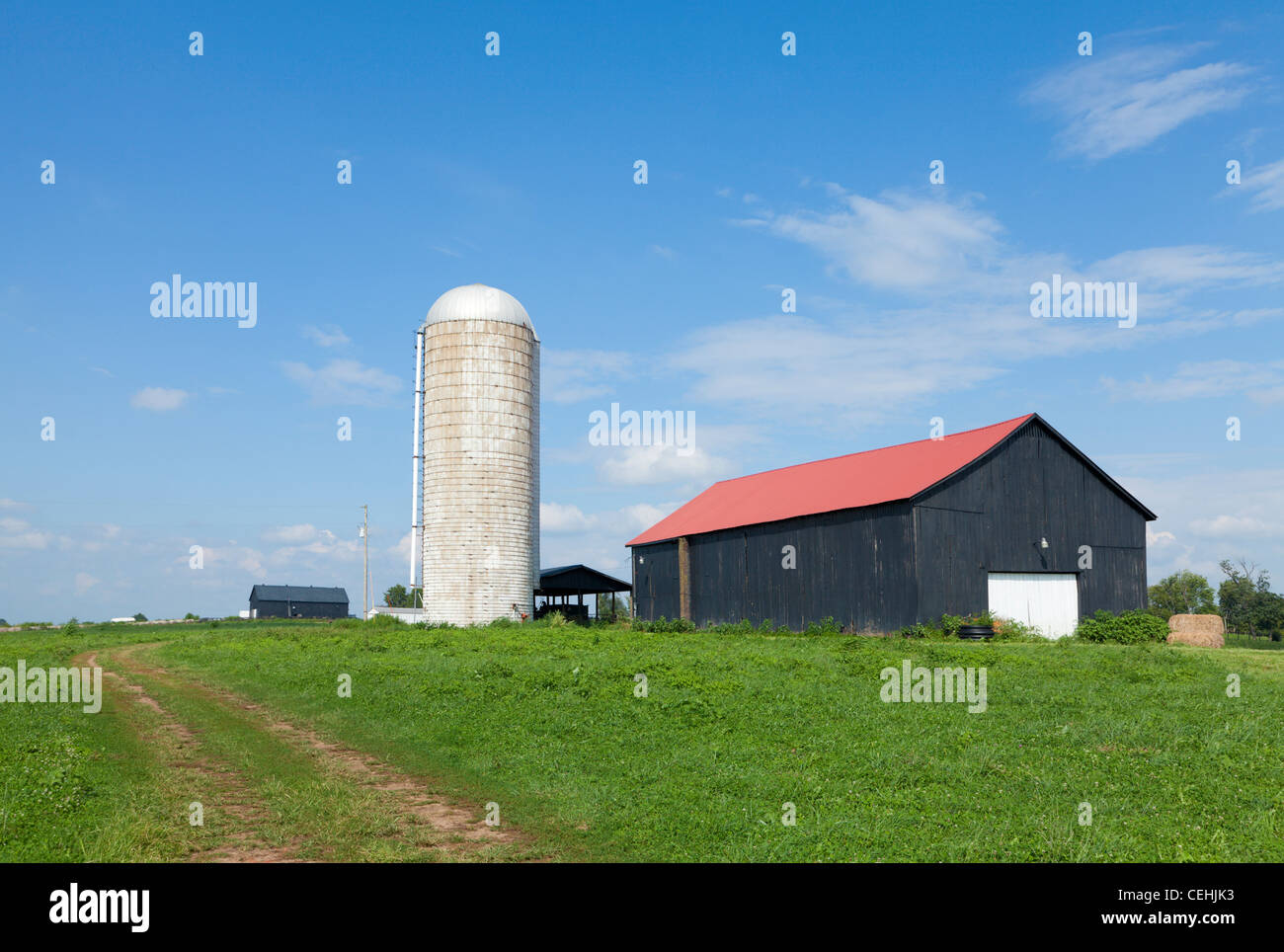 silo farms silo farms