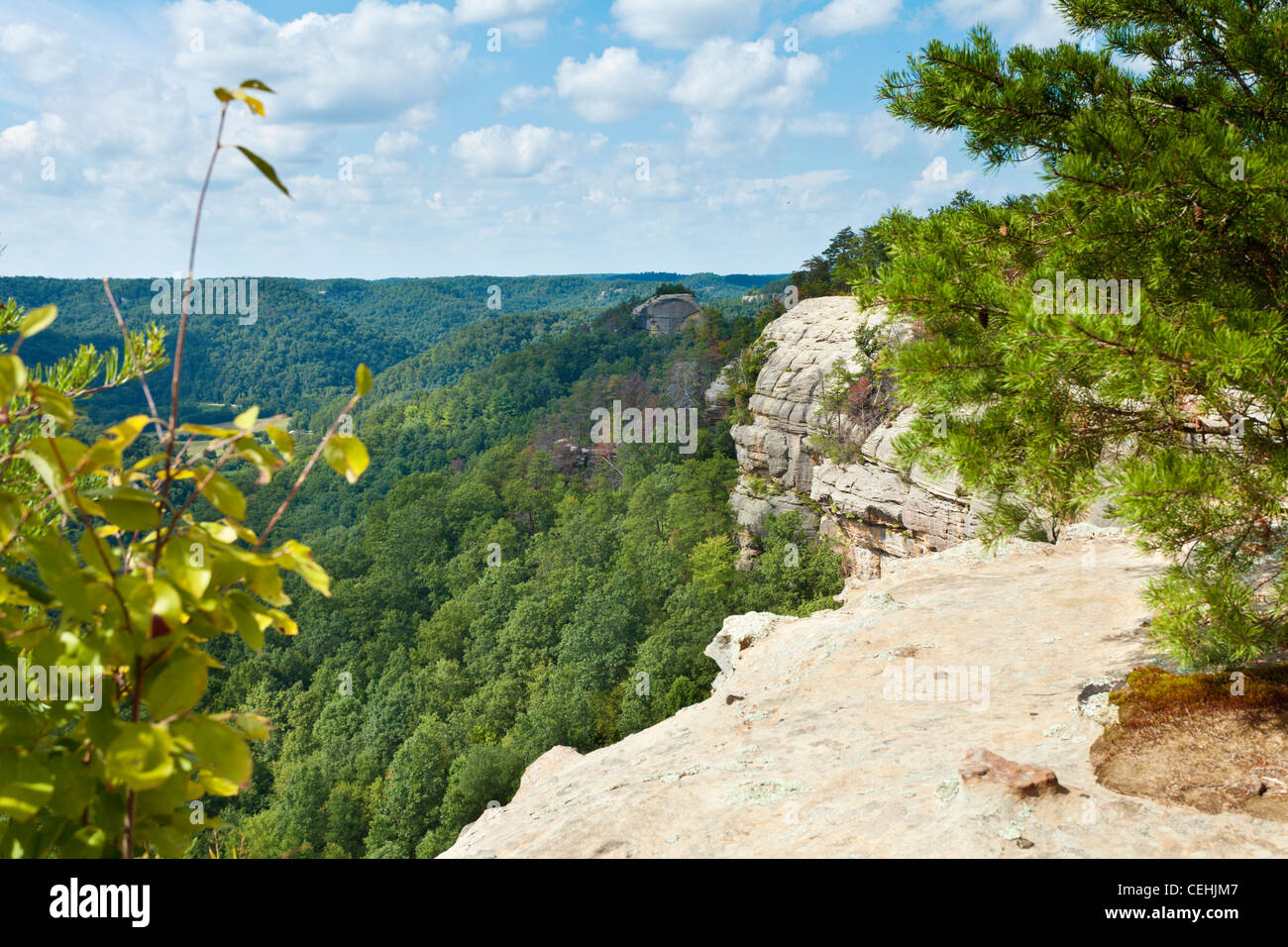 Red River Gorge in Kentucky Stock Photo