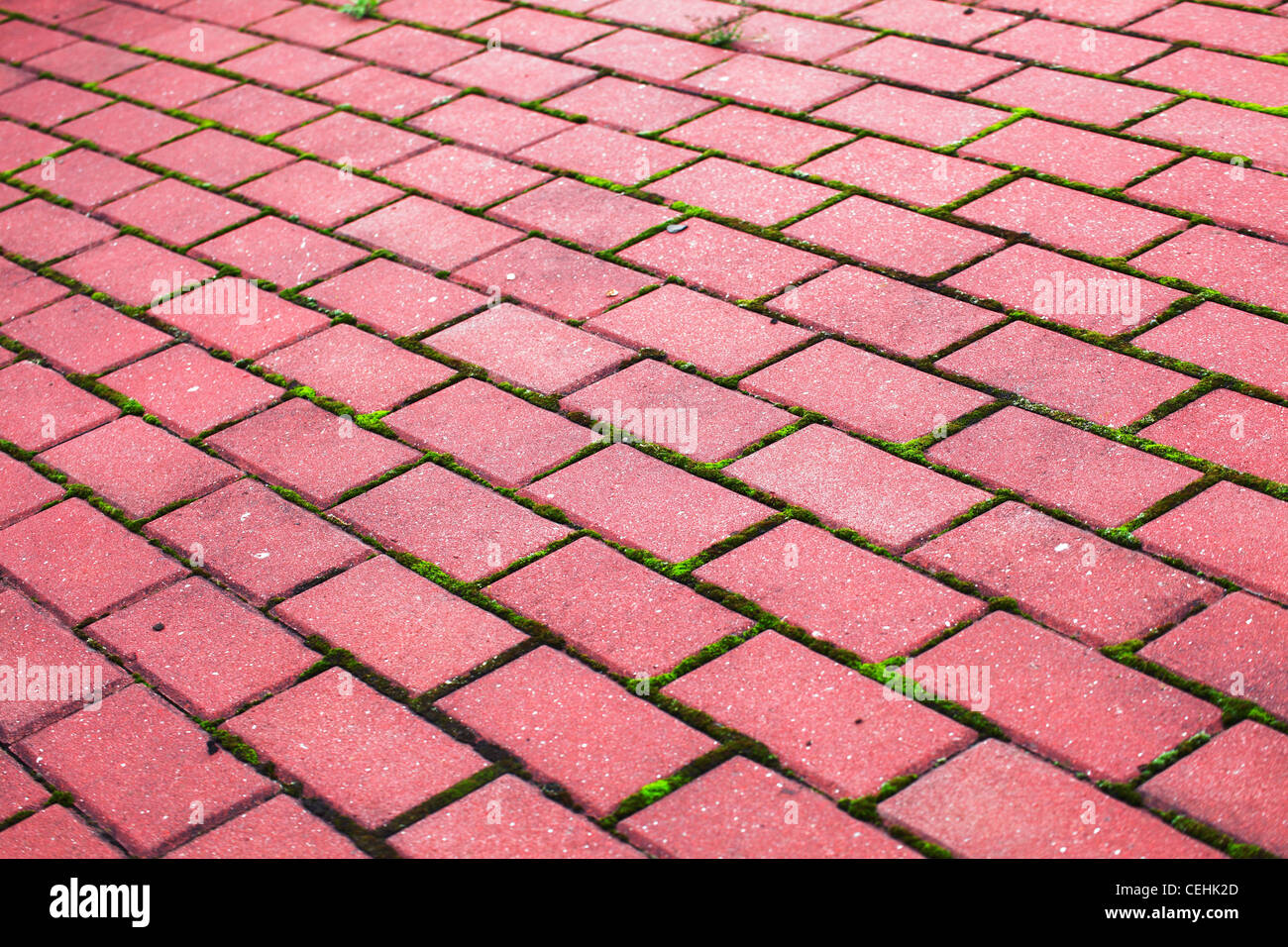Garden stone path Brick Sidewalk paving tiles Stock Photo