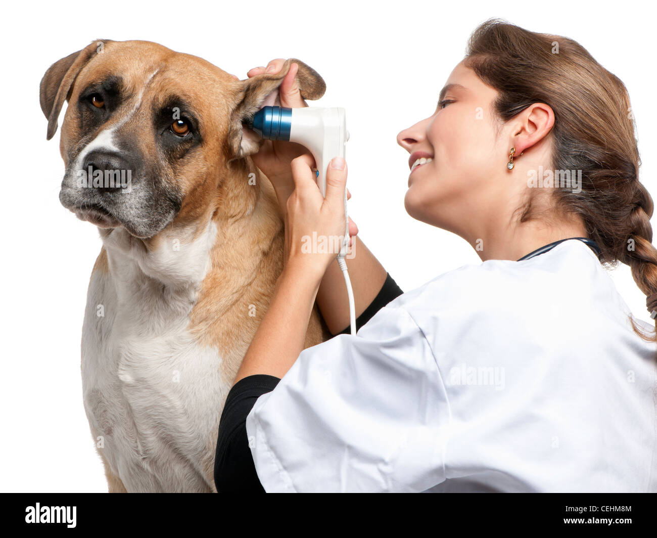 Vet examining a crossbreed dog's ear with an otoscope in front of white