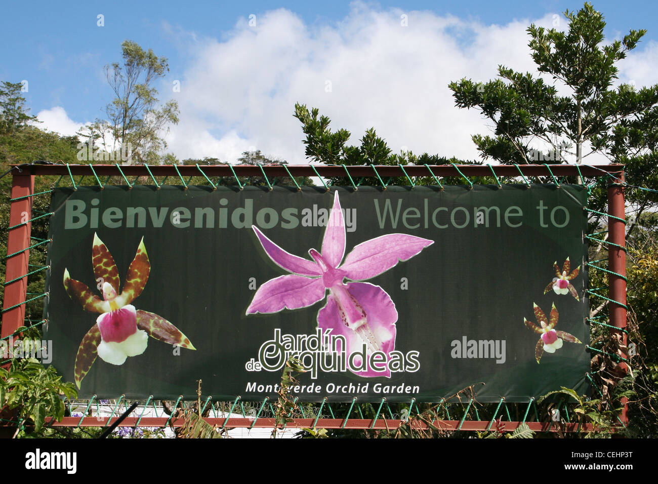 Monteverde Orchid Garden - Jardin de Orquideas Stock Photo - Alamy