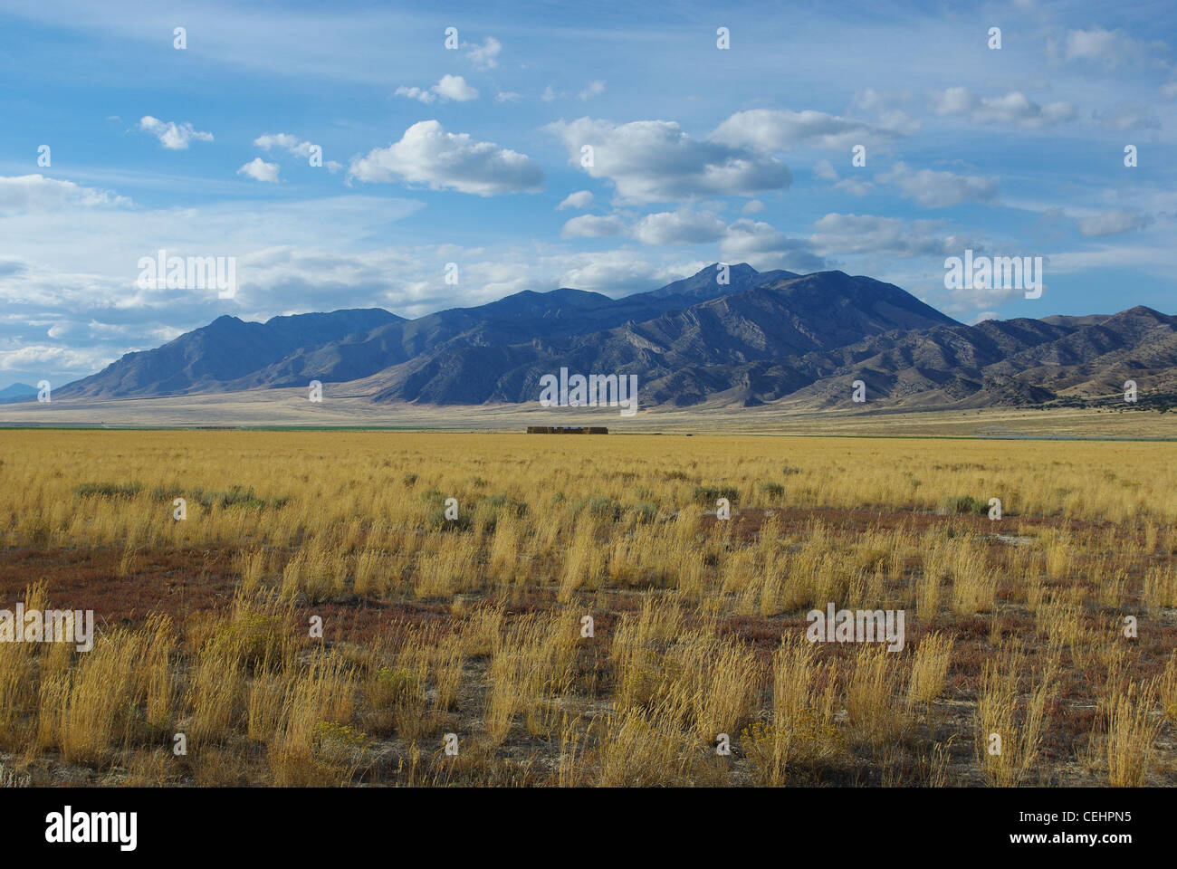 Prairie and mountains in Idaho Stock Photo Alamy