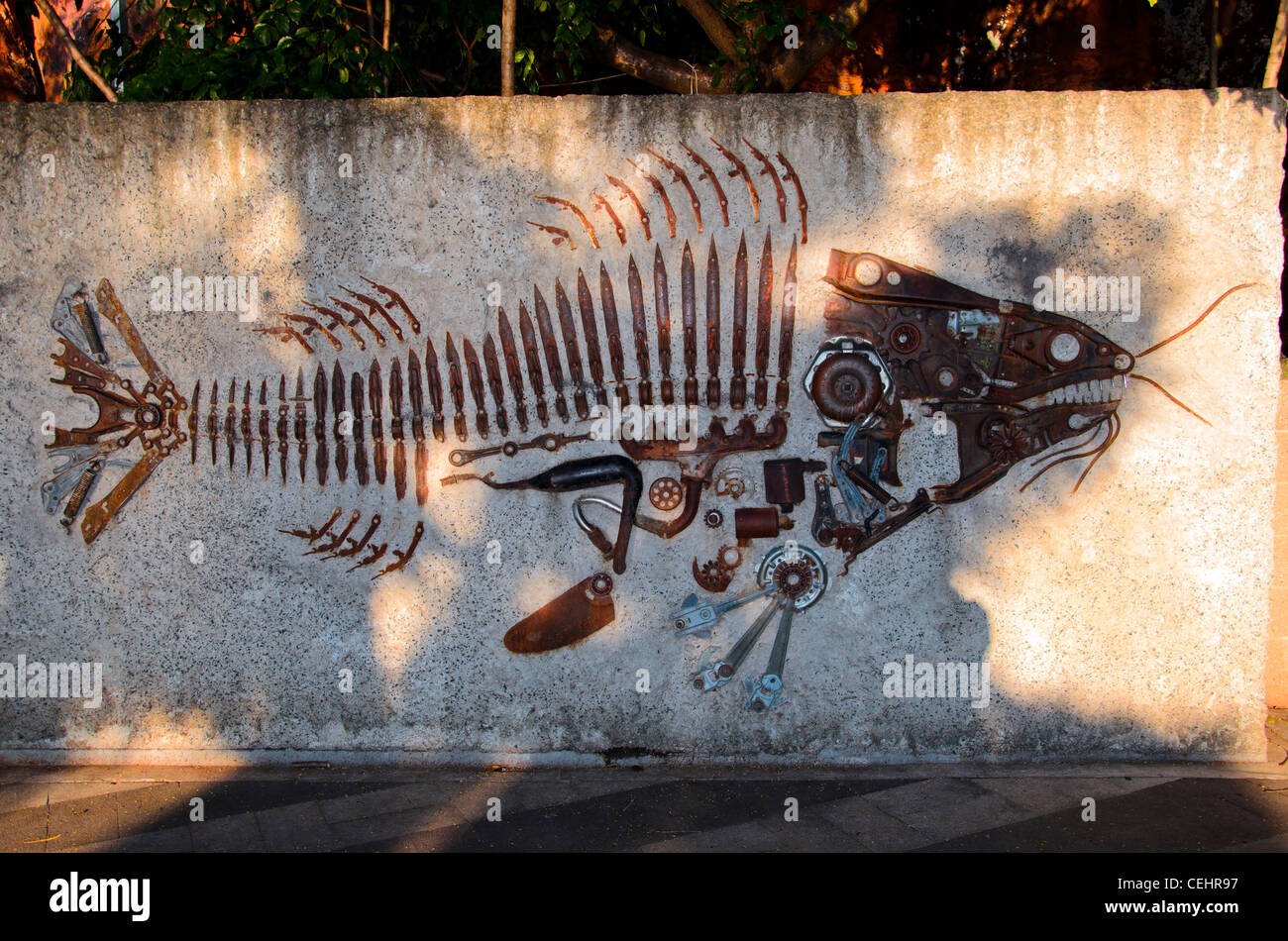 Fake fish australia hi-res stock photography and images - Alamy