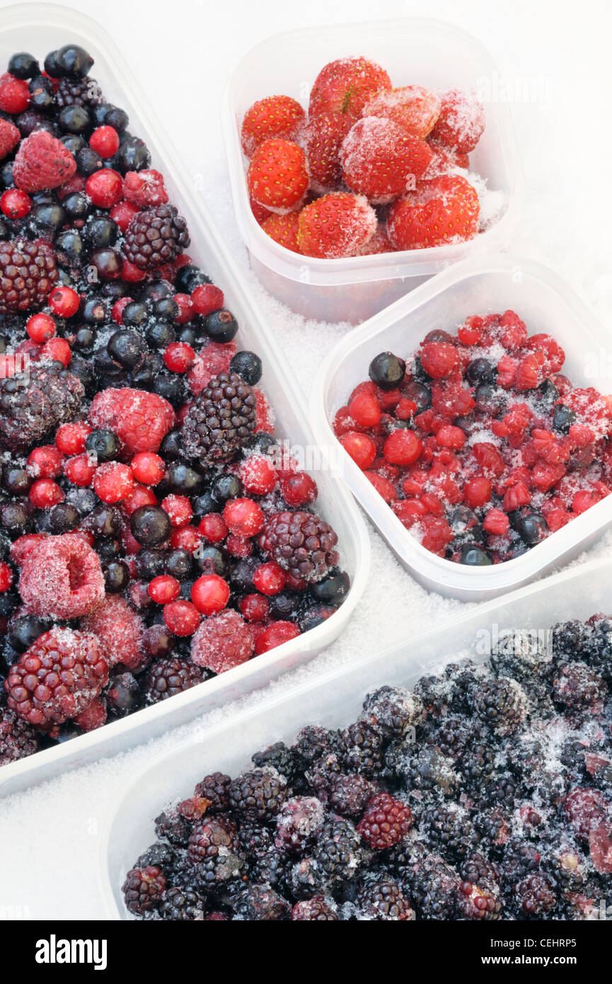 Plastic containers of frozen mixed berries in snow - still life Stock Photo