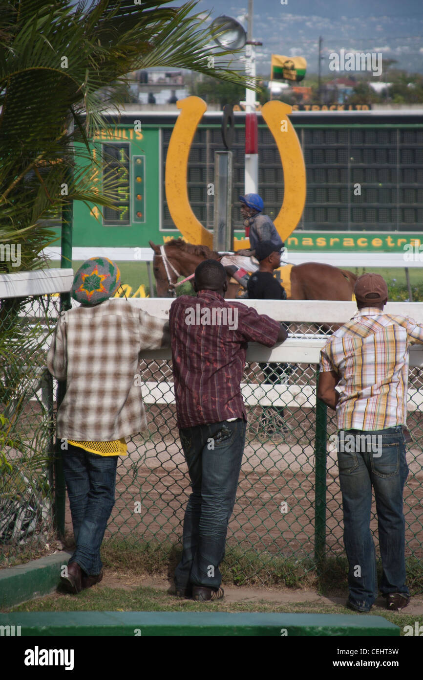 The Thrilling World of Horse Racing at Caymanas Park Race Track Limited: Where Passion Meets Precision