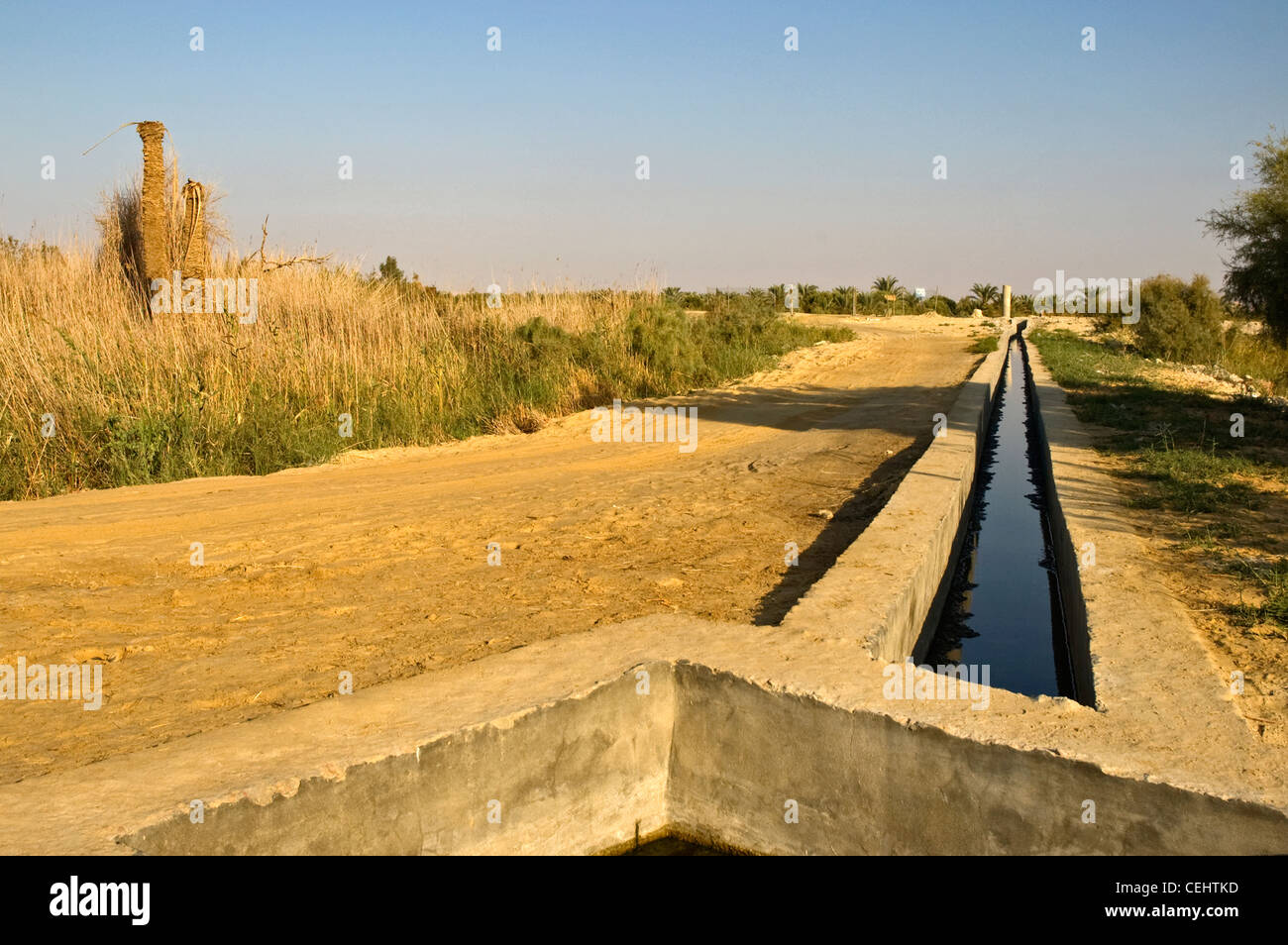NORTH AFRICA, EGYPT, Siwa Oasis, irrigation canal at the spring of Abu
