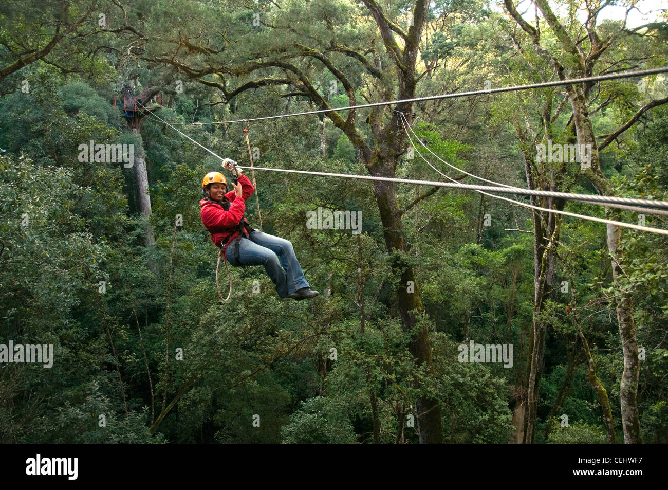 Canopy tour tsitsikamma hires stock photography and images Alamy