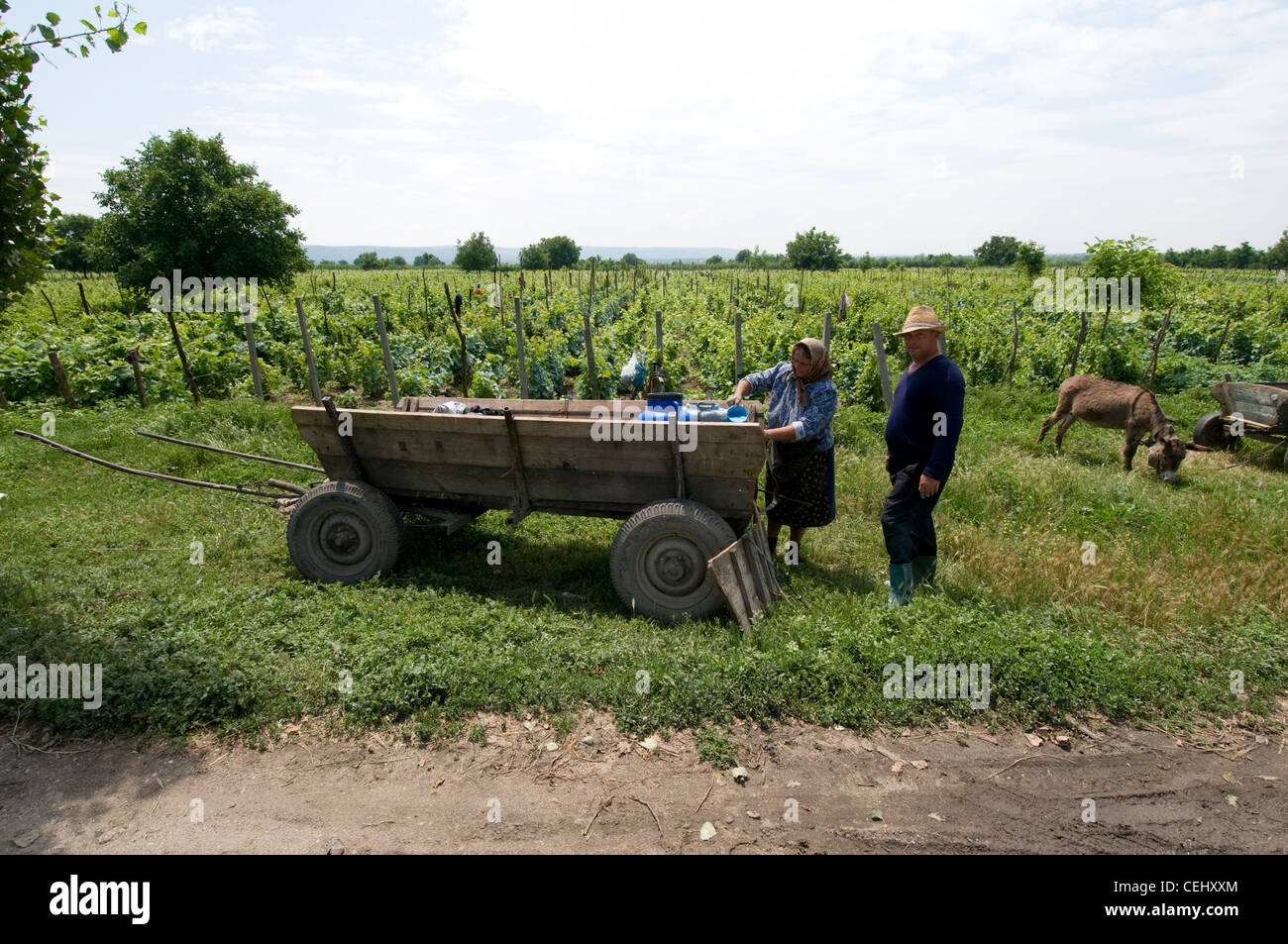 Horse and carriage, Romania, man and wife, family Stock Photo