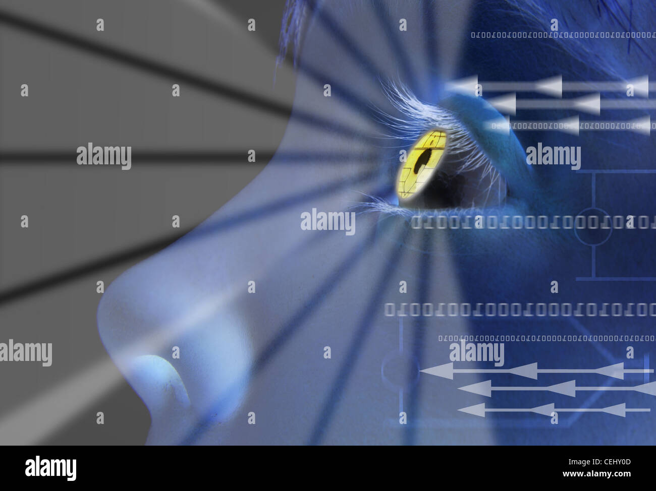 Iris Iris Scan Stock Photos & Iris Iris Scan Stock Images Alamy