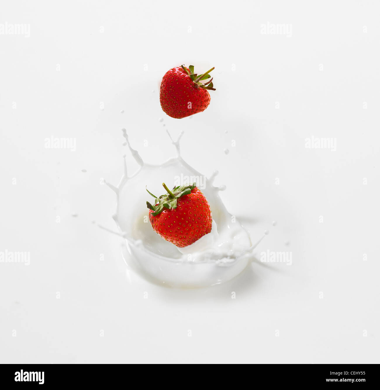 Strawberry dropped into milk with splash Stock Photo