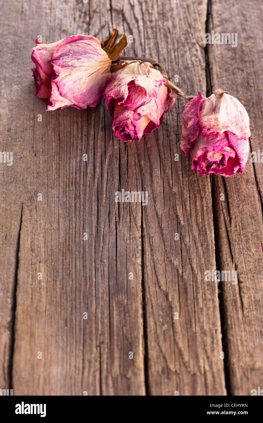 Dry pink roses on old wooden background Stock Photo