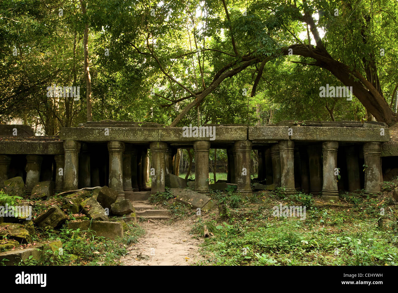 Mysterious ancient ruins in the jungle, Cambodia, Siem Reap province Stock  Photo - Alamy