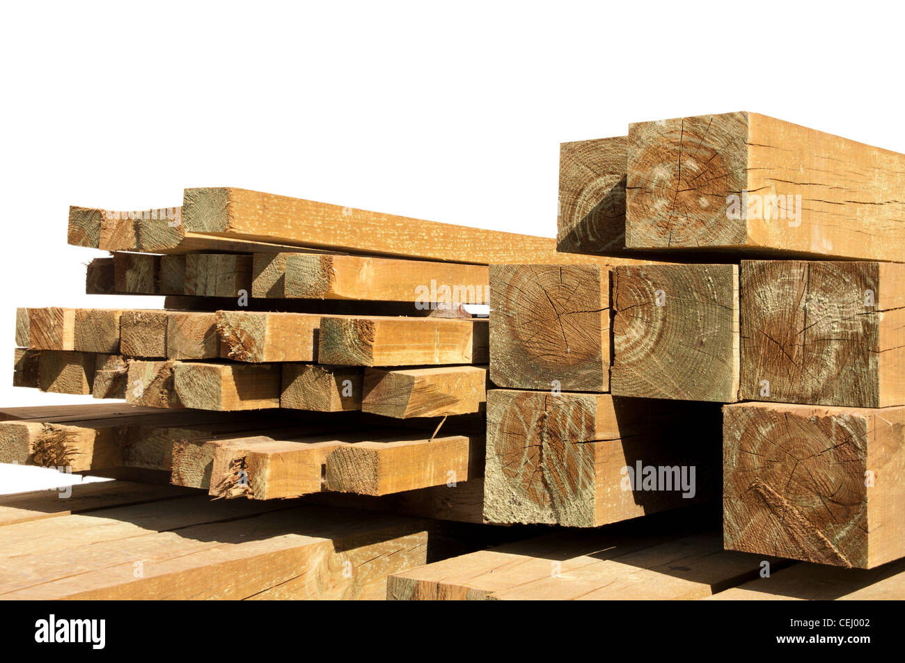 Pine wood logs Stock Photo Alamy